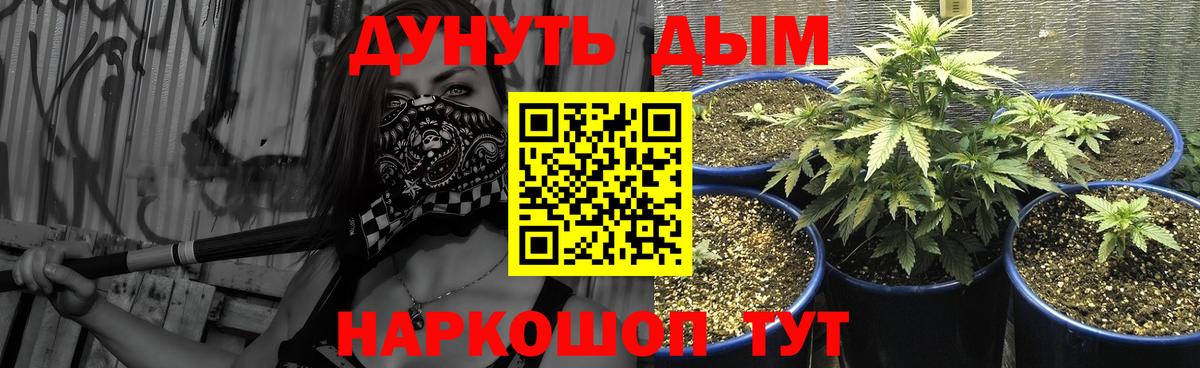 Бердск  Бошки марихуана SATIVA & INDICA  Бошки марихуана план  Вход с VPN  Каннабис MAZAR 